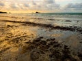 Tar balls and oil sludge on Lagoi beach in Bintan Island Indonesia during sunset